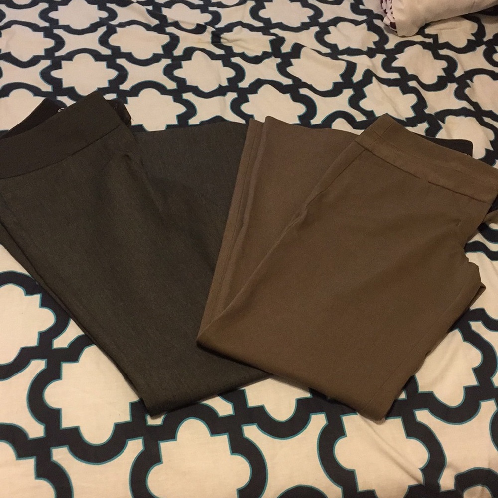 Express Editor Pants